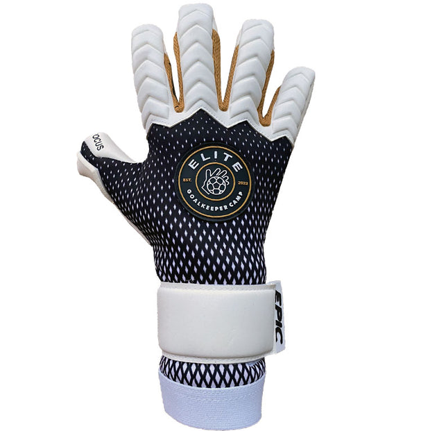 ELITE GK CAMP "FOCUS" | Hyla Cut
