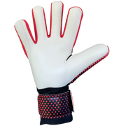goalkeeper gloves worn by professionals 