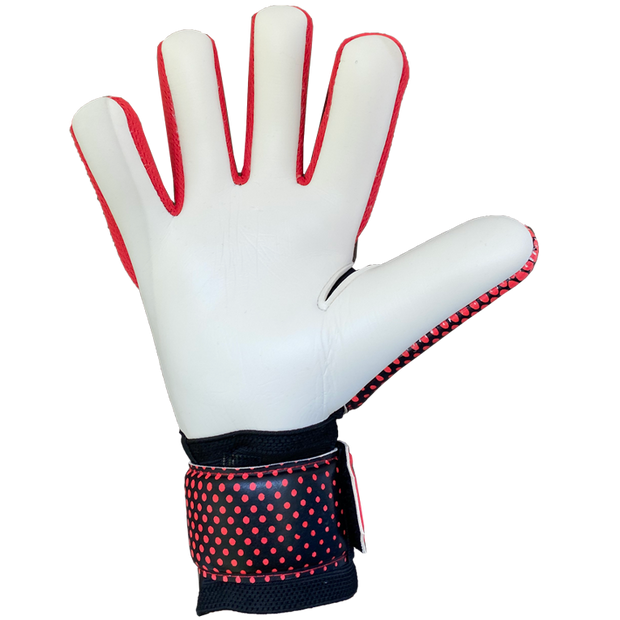 goalkeeper gloves worn by professionals 